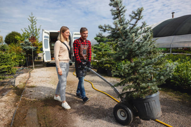 Best Root Management and Removal  in , ND